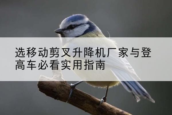 银川电动升降机厂家-选移动剪叉升降机厂家与登高车必看实用指南