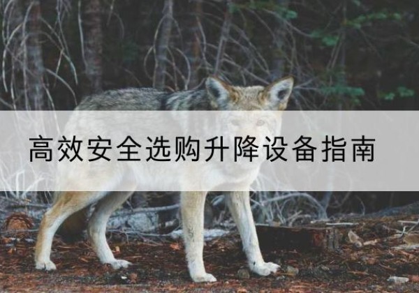 银川升降货梯厂家推荐-*安全选购升降设备指南