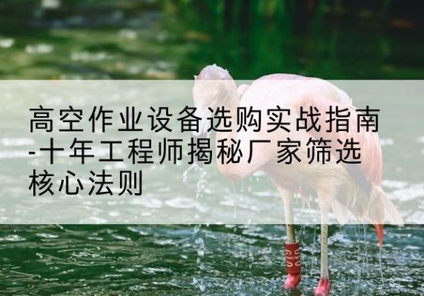银川剪叉式升降机厂家-高空作业设备选购实战指南-十年工程师揭秘厂家筛选核心法则